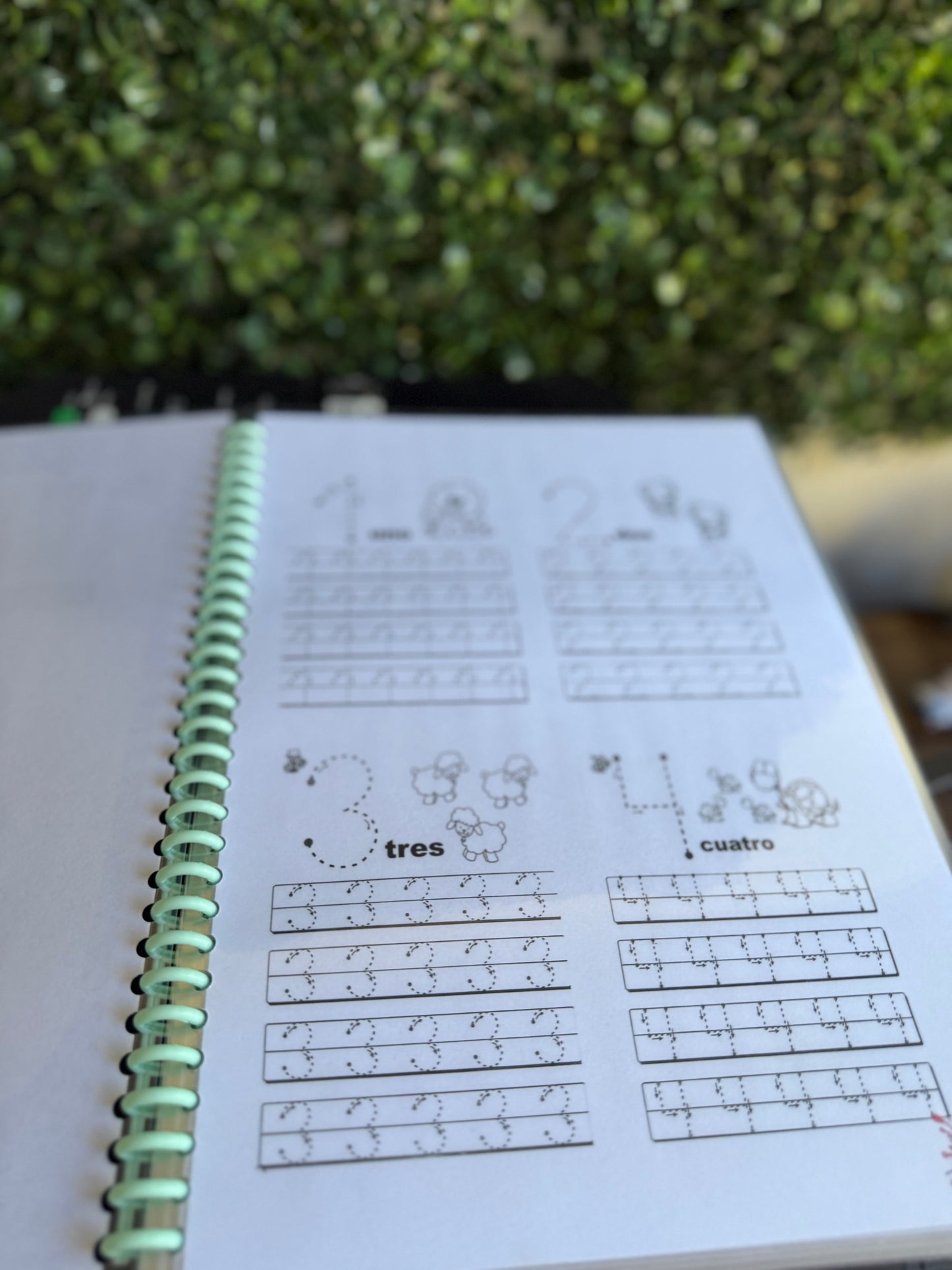 Libro de Trazos Aprendo a Escribir