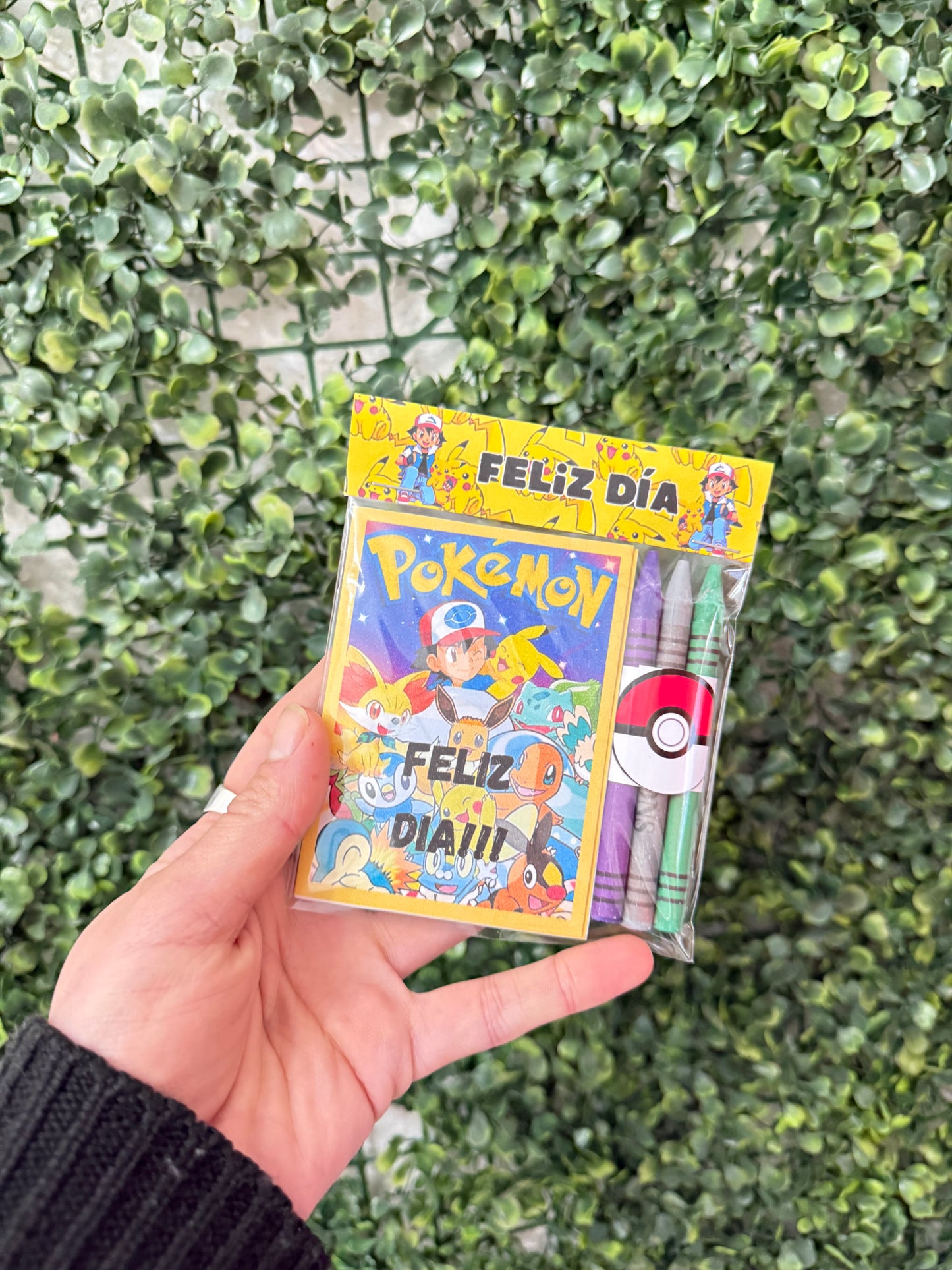 Mini Libros para colorear Todas las Temáticas