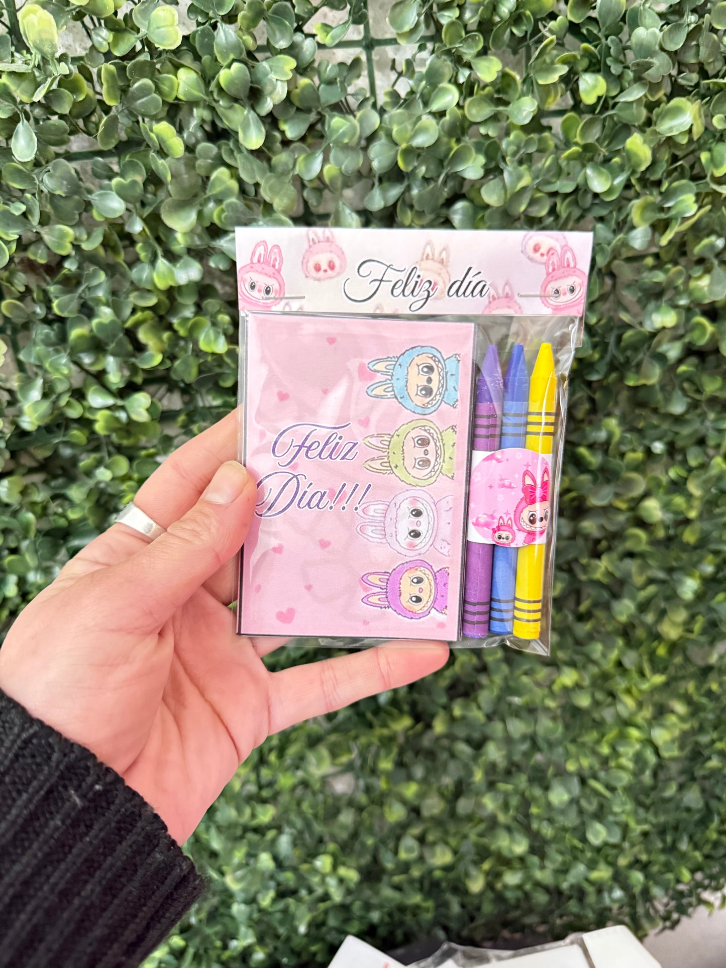 Mini Libros para colorear Todas las Temáticas