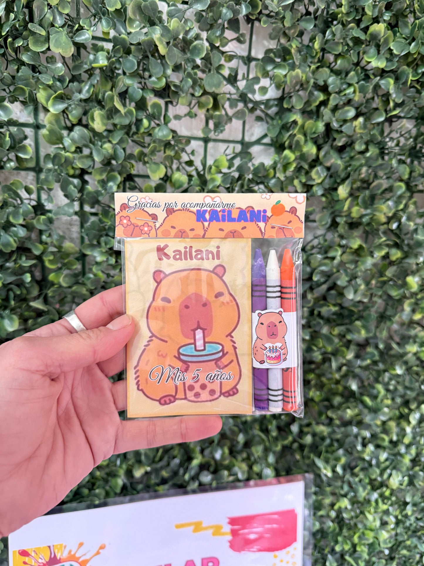 Mini Libros para colorear Todas las Temáticas