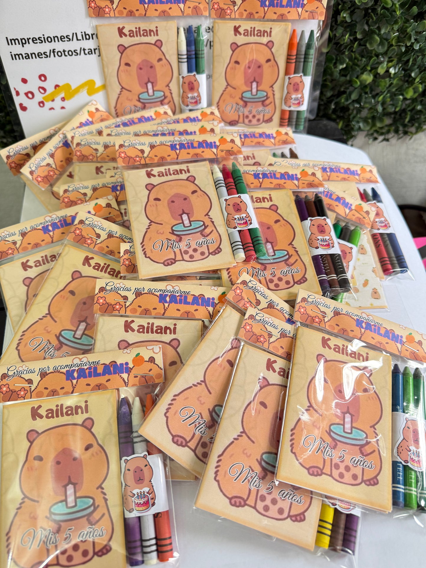 Mini Libros para colorear Todas las Temáticas