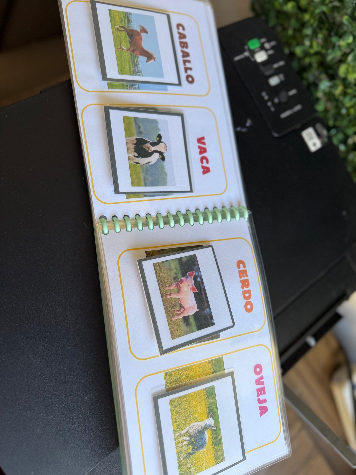 Primer Libro de Estimulación Temprana